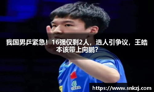 我国男乒紧急！16强仅剩2人，选人引争议，王皓本该带上向鹏？